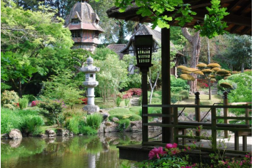 le jardin de la pagode - Parc Oriental de Maulévrier 