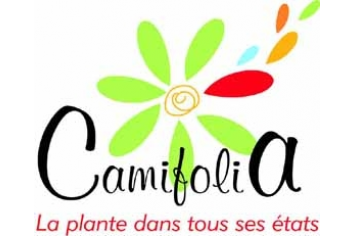  Camifolia-théâtre Foirail 